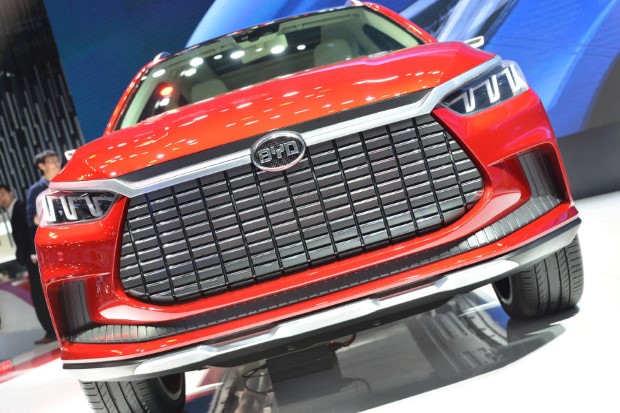 byd dragon face design